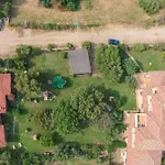 Corbezzolo