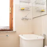 Corbezzolo *