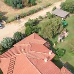 Corbezzolo * San Teodoro (Sardinia)