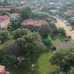 Corbezzolo *