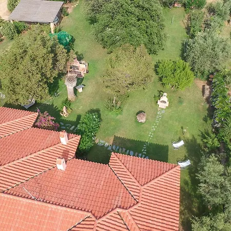 Corbezzolo Villa *