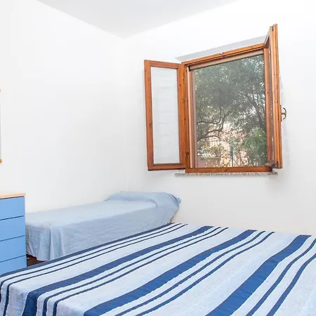 Corbezzolo