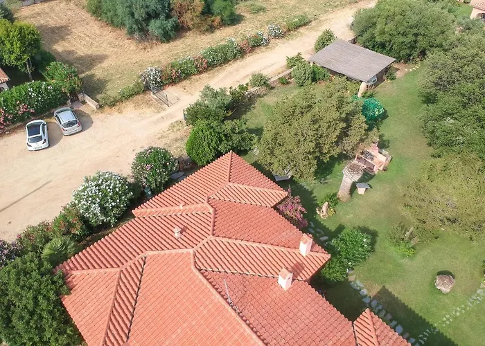 Corbezzolo *
