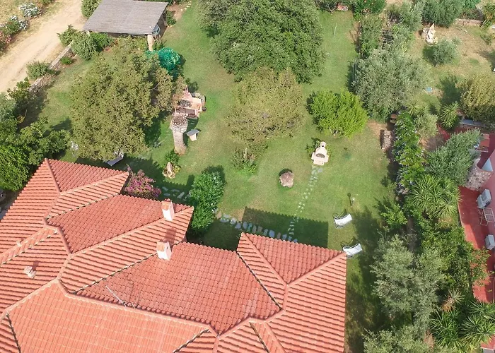 Corbezzolo * San Teodoro